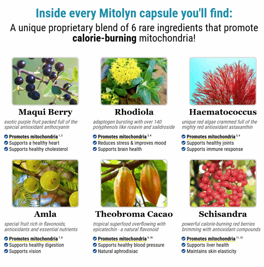 Mitolyn Ingredients