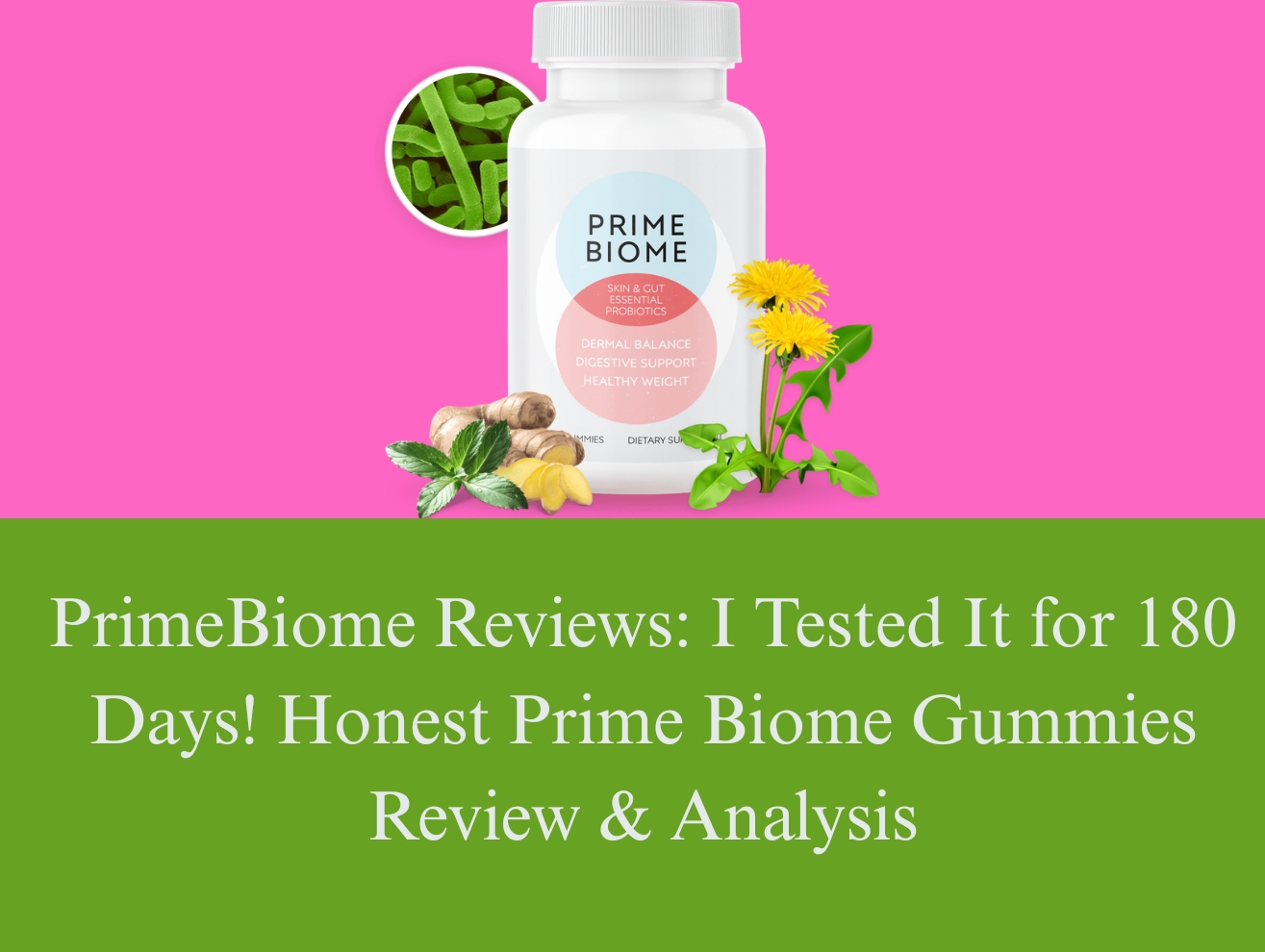 PrimeBiome Reviews